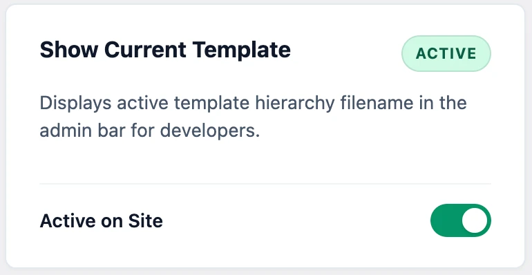 show current template wordpress dashboard screen